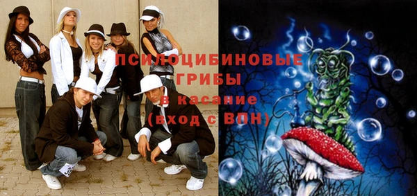 spice Покачи