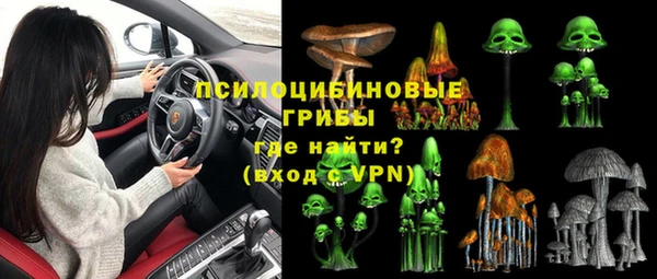 spice Покачи
