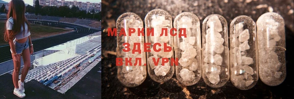 spice Покачи