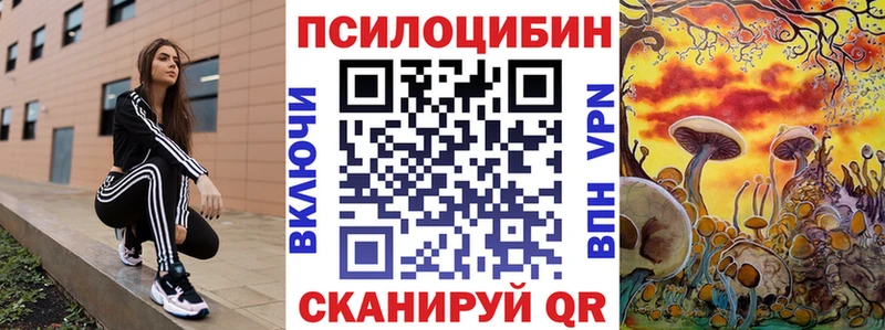 Псилоцибиновые грибы прущие грибы продажа наркотиков МЕГА рабочий сайт Туран